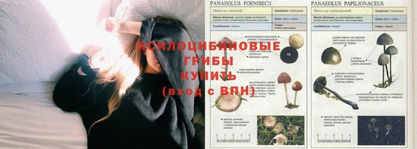 MESCALINE Абдулино