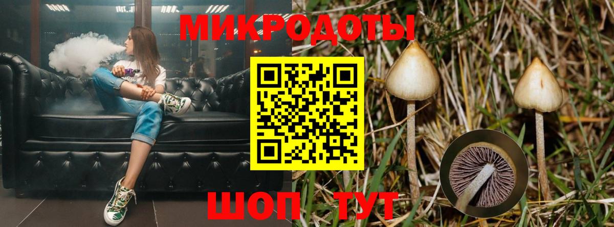 наркошоп  Галлюциногенные грибы мухоморы  Рассказово  Вход с VPN  Псилоцибиновые грибы мицелий 